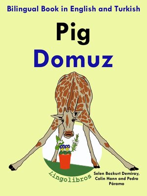 cover image of Bilingual Book in English and Turkish